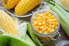 Canned sweet corn in glass jar, fresh and cooked corn on cobs. Royalty Free Stock Photos Canned sweet corn in glass jar, fresh and cooked corn on cobs. Royalty Free Stock Photos