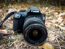 Canon 1300D stockbild Canon 1300D stockbild