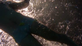 Cantidad subacuática de la parte inferior de la cámara lenta de la natación atlética joven del hombre en la piscina almacen de metraje de vídeo Cantidad subacuática de la parte inferior de la cámara lenta de la natación atlética joven del hombre en la piscina almacen de metraje de vídeo