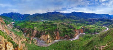 Canyon Colca, Peru