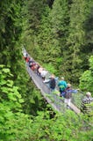 Capilano zawieszenia most Obrazy Royalty Free Capilano zawieszenia most Obrazy Royalty Free