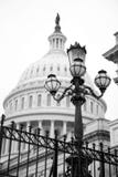 Capital Building, Washington DC royalty free stock images Capital Building, Washington DC royalty free stock images