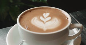 Cappuccino με ένα σχέδιο rosetta τέχνης latte στο crema απόθεμα βίντεο Cappuccino με ένα σχέδιο rosetta τέχνης latte στο crema απόθεμα βίντεο