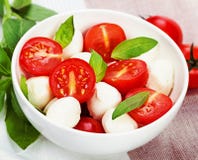 Caprese salad with mozzarella, tomato, basil on white plate. Vin Stock Images Caprese salad with mozzarella, tomato, basil on white plate. Vin Stock Images