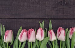 Capítulo de tulipanes en fondo de madera rústico oscuro con el espacio de la copia imagen de archivo Capítulo de tulipanes en fondo de madera rústico oscuro con el espacio de la copia imagen de archivo