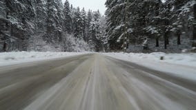 Car driving in a winter forest