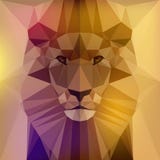 Cara de un león stock de ilustración Cara de un león stock de ilustración