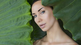Cara hermosa de la mujer con maquillaje desnudo natural en un pasto tropical imagenes de archivo Cara hermosa de la mujer con maquillaje desnudo natural en un pasto tropical imagenes de archivo