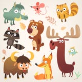 Caracteres del animal del bosque de la historieta Ilustración del vector Sistema grande del ejemplo de los animales del bosque de stock de ilustración Caracteres del animal del bosque de la historieta Ilustración del vector Sistema grande del ejemplo de los animales del bosque de stock de ilustración