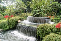 Característica bonita da cachoeira no jardim botânico de Singapura fotografia de stock Característica bonita da cachoeira no jardim botânico de Singapura fotografia de stock
