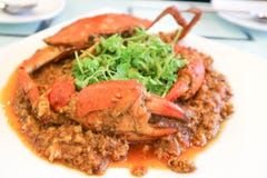 Caranguejo dos pimentões ou alimento de Singapura imagens de stock Caranguejo dos pimentões ou alimento de Singapura imagens de stock