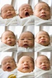 Caras recién nacidas del bebé Caras recién nacidas del bebé