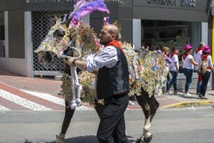 Caravaca de la Cruz, Espa?a, el 2 de mayo de 2019: Caballo que es desfilado en Caballos Del Vino foto de archivo Caravaca de la Cruz, Espa?a, el 2 de mayo de 2019: Caballo que es desfilado en Caballos Del Vino foto de archivo