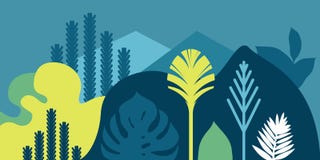Card banner invitation with tropical landscaping plants trees hills and mountains. Preservation of the environment, ecology. royalty free illustration Card banner invitation with tropical landscaping plants trees hills and mountains. Preservation of the environment, ecology. royalty free illustration