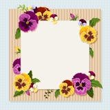 Card with colorful pansy flowers. Vector eps-10. Stock Photos Card with colorful pansy flowers. Vector eps-10. Stock Photos