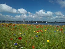 Cardiff-Bucht stockfotografie Cardiff-Bucht stockfotografie