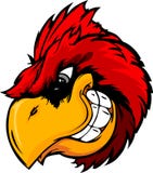Cardinal Or Red Bird Head Cartoon Stock Image Cardinal Or Red Bird Head Cartoon Stock Image