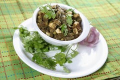 Cari de Paneer de coriandre, cari de Paneer Dhanya, cari de paneer de malli de kotta images stock Cari de Paneer de coriandre, cari de Paneer Dhanya, cari de paneer de malli de kotta images stock