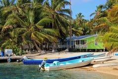 Carlingues sur des échasses sur la petite île du tabac Caye, Belize photographie stock libre de droits Carlingues sur des échasses sur la petite île du tabac Caye, Belize photographie stock libre de droits