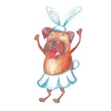 Carlino divertente di dancing dell'acquerello in costume di carnevale Nuovo anno felice illustrazione vettoriale Carlino divertente di dancing dell'acquerello in costume di carnevale Nuovo anno felice illustrazione vettoriale