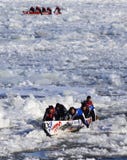Carnaval de Quebec: Raza de la canoa del hielo foto de archivo libre de regalías Carnaval de Quebec: Raza de la canoa del hielo foto de archivo libre de regalías