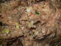 Carne triturada fotos de stock Carne triturada fotos de stock