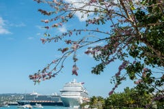 Carnival Dream en Holland America Nieuw Statendam-cruiseschepen in Jamaïca worden gedokt dat stock foto's Carnival Dream en Holland America Nieuw Statendam-cruiseschepen in Jamaïca worden gedokt dat stock foto's