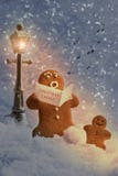 Carol Singers Stock Images Carol Singers Stock Images