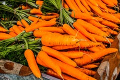 Carota del mercato di Rodi Fotografia Stock Carota del mercato di Rodi Fotografia Stock