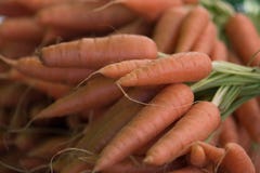 Carote organiche ad un mercato degli agricoltori fotografia stock Carote organiche ad un mercato degli agricoltori fotografia stock