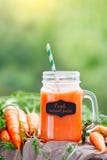 Carottes et jus de carotte frais dans le jardin Foyer sélectif de récolte Fond avec l'espace de copie Photographie stock Carottes et jus de carotte frais dans le jardin Foyer sélectif de récolte Fond avec l'espace de copie Photographie stock