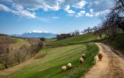 Carpathian village in the mountainof Transylvania, Romania royalty free stock photos Carpathian village in the mountainof Transylvania, Romania royalty free stock photos