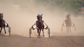 Carrera de caballos de los carros Carrera de caballos de los carros