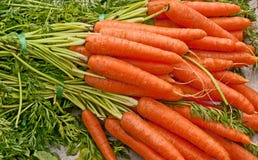 Carrot Stock Photos