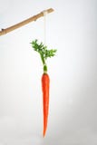 Carrot on a stick incentive