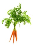 Carrots Royalty Free Stock Images Carrots Royalty Free Stock Images