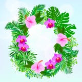 Carte avec les feuilles tropicales de fleurs, de paume et de banane illustration libre de droits Carte avec les feuilles tropicales de fleurs, de paume et de banane illustration libre de droits