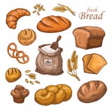 Cartoon bread, fresh bakery product, flour, ears of wheat. Hand drawn vector set isolated on white background Royalty Free Stock Photos Cartoon bread, fresh bakery product, flour, ears of wheat. Hand drawn vector set isolated on white background Royalty Free Stock Photos