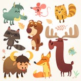 Cartoon forest animals set. Vector illustrated. Squirrel, mouse, raccoon, boar, fox, buffalo, bear, moose, bird. Isolated. royalty free illustration Cartoon forest animals set. Vector illustrated. Squirrel, mouse, raccoon, boar, fox, buffalo, bear, moose, bird. Isolated. royalty free illustration