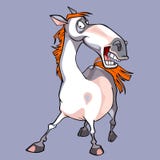 Cartoon funny white horse with a orange mane royalty free illustration Cartoon funny white horse with a orange mane royalty free illustration