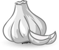 Cartoon garlic,vector stock vector. Illustration of illustration - 50997155