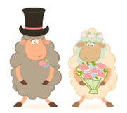 Cartoon Sheep Bridegroom And Bride Stock Photography
