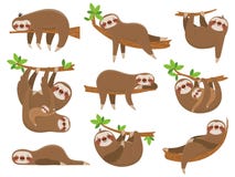 Cartoon sloths family. Adorable sloth animal at jungle rainforest. Funny animals on tropical forest trees vector set