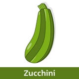 Zucchini Cartoon Illustration 21158314 - Megapixl Zucchini Cartoon Illustration 21158314 - Megapixl