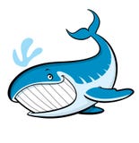 Cartoon whale vector illustration Cartoon whale vector illustration