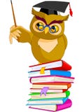 Cartoon Wise Owl Royalty Free Stock Photo Cartoon Wise Owl Royalty Free Stock Photo