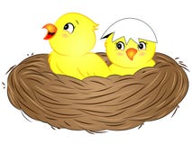 Cartoon Yellow Baby Birds in Nest