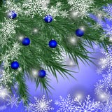Cartão de Natal Fundo do inverno com ramos e o azul spruce ilustração stock Cartão de Natal Fundo do inverno com ramos e o azul spruce ilustração stock