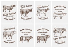 Cartões do vintage Touros e vacas do gado da exploração agrícola Raças diferentes de animais domésticos Grupo de cartazes Mão gra ilustração royalty free Cartões do vintage Touros e vacas do gado da exploração agrícola Raças diferentes de animais domésticos Grupo de cartazes Mão gra ilustração royalty free
