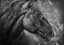 Carvão vegetal do retrato do cavalo ilustração royalty free Carvão vegetal do retrato do cavalo ilustração royalty free